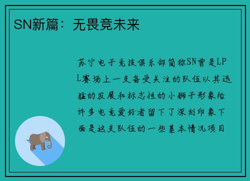 SN新篇：无畏竞未来